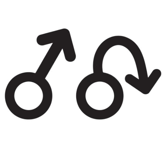 Erectile Dysfunction